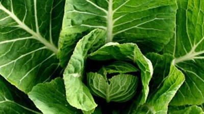 十大补钙蔬菜(吃什么蔬菜补钙)-硒宝网
