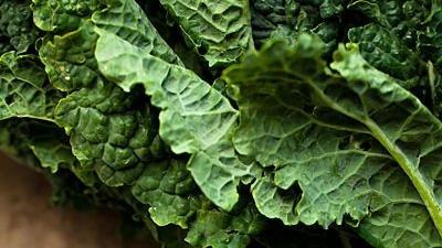 十大补钙蔬菜(吃什么蔬菜补钙)-硒宝网