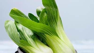 十大补钙蔬菜(吃什么蔬菜补钙)-硒宝网