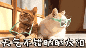 晒太阳补钙(晒太阳补钙需要直晒太阳吗)-硒宝网