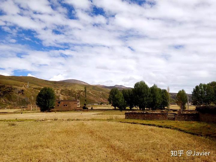 甲癌吃硒维康好吗（硒维康吃多久见效）-硒宝网