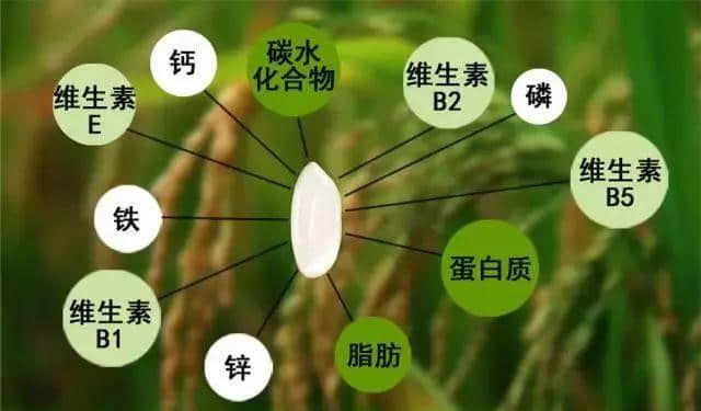 微量元素检测方法(微量元素检测方法学介绍)-硒宝网