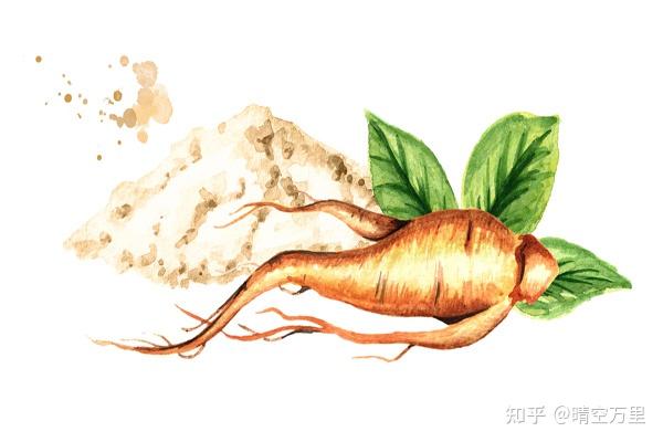 人参皂苷和硒维康(人参皂苷rg3和硒维康哪个好)-硒宝网