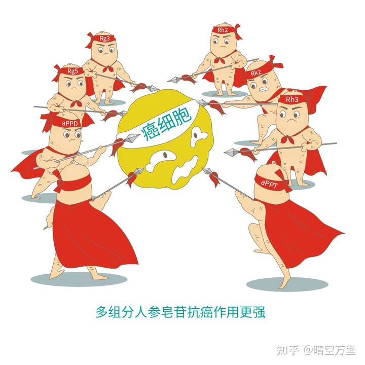 人参皂苷和硒维康(人参皂苷rg3和硒维康哪个好)-硒宝网