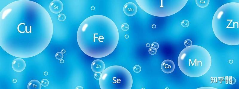 微量元素20项检测(微量元素检测项目)-硒宝网