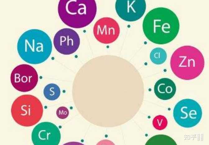 微量元素20项检测(微量元素检测项目)-硒宝网
