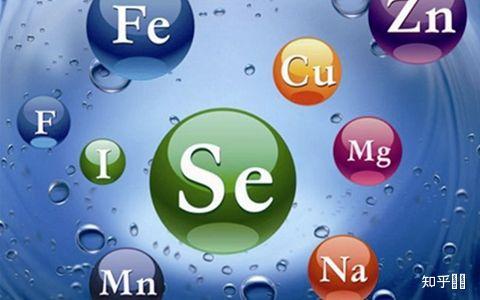 微量元素20项检测(微量元素检测项目)-硒宝网