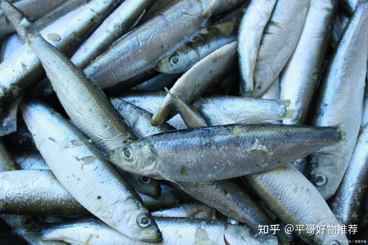 补钙最好的奶粉(奶粉补钙好还是牛奶补钙好)-硒宝网