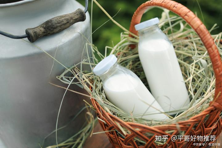 补钙最好的奶粉(奶粉补钙好还是牛奶补钙好)-硒宝网