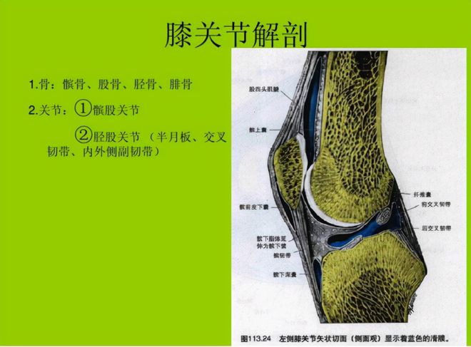 骨头汤补钙吗是真的吗（骨头汤补钙是多少量）-硒宝网