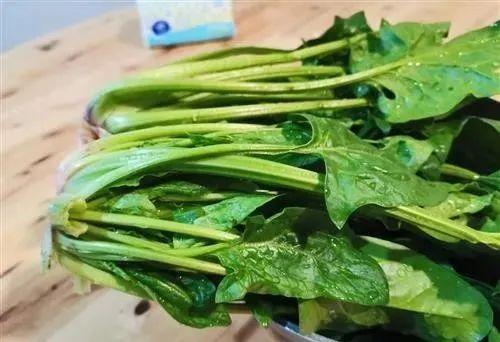 菠菜 补铁(菠菜补铁吗)-硒宝网