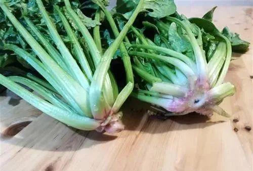 菠菜 补铁(菠菜补铁吗)-硒宝网
