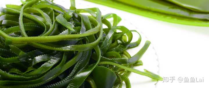 孕期补铁的食物（孕期食物补铁有哪些）-硒宝网