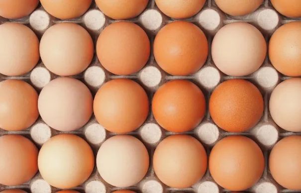 鸡蛋补钙吗（鸡蛋补钙吗含钙吗）-硒宝网