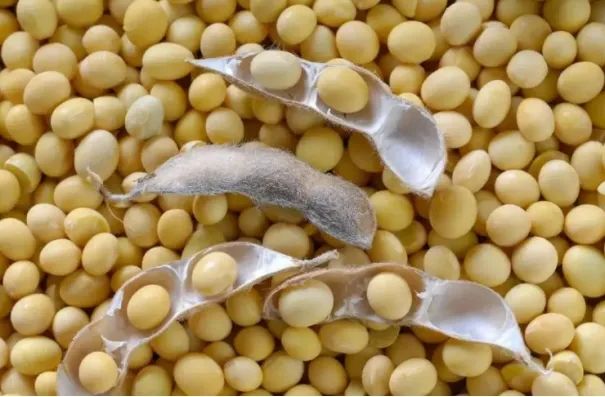 鸡蛋补钙吗（鸡蛋补钙吗含钙吗）-硒宝网