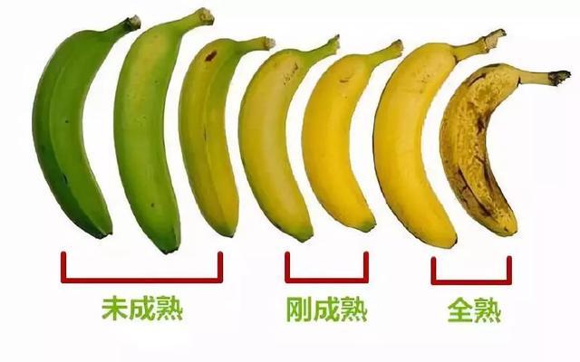 菠菜 补铁（菠菜补铁效果怎么样）-硒宝网