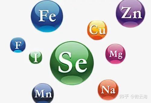 补钙过量有什么害处（过量补钙危害）-硒宝网
