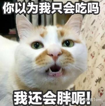 补钙最好的奶粉（奶粉补钙好还是牛奶呢）-硒宝网