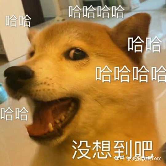 补钙最好的奶粉（奶粉补钙好还是牛奶呢）-硒宝网