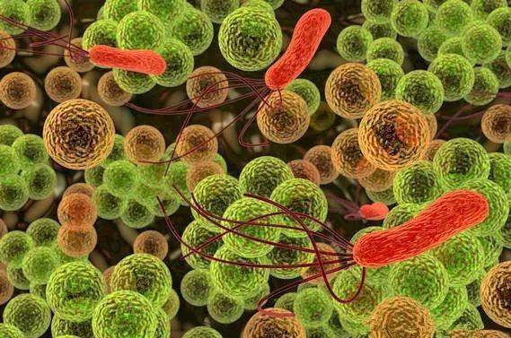 硒维康片是抗菌药（硒维康片有哪些副作用）-硒宝网