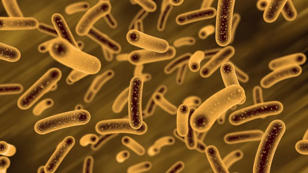 硒维康片是抗菌药（硒维康片有哪些副作用）-硒宝网