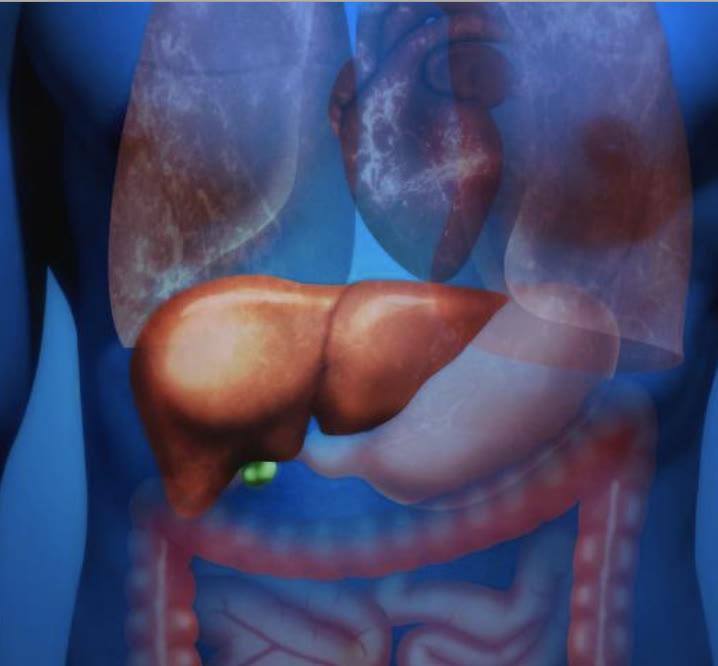 肝纤维化吃硒维康（肝纤维化可以吃维生素c吗）-硒宝网