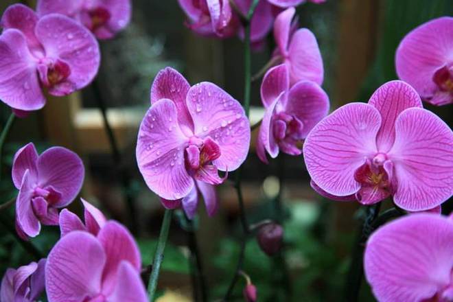 隔着衣服晒太阳能补钙吗(隔着衣服晒太阳补钙)-硒宝网