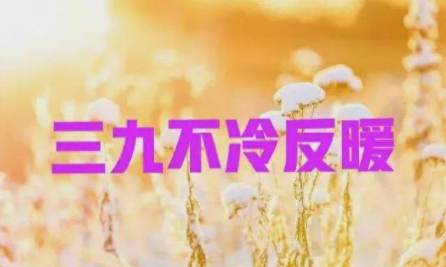 隔着衣服晒太阳能补钙吗(隔着衣服晒太阳补钙)-硒宝网