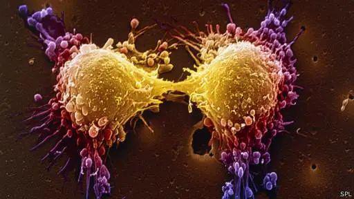 硒维康免疫增强剂（提高免疫力的硒多少钱一盒）-硒宝网