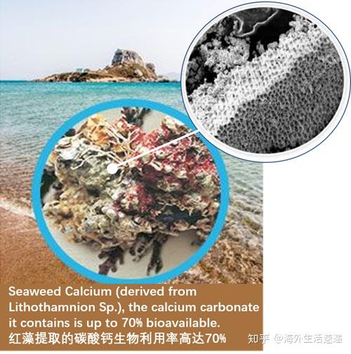 婴幼儿补钙吃什么钙效果好(婴幼儿吃的钙)-硒宝网