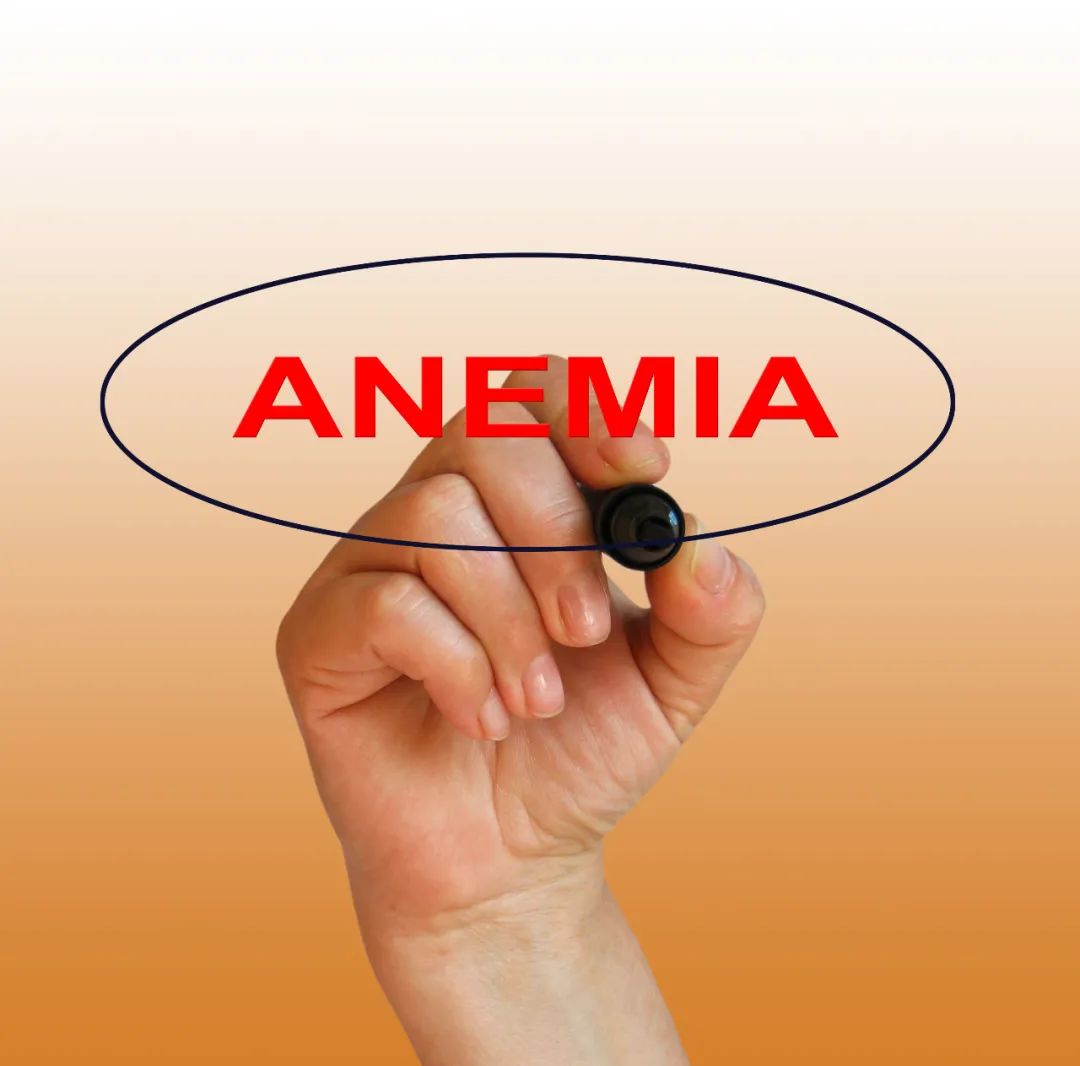 孕妇吃什么可以补铁(孕妇吃补铁可以喝牛奶吗)-硒宝网