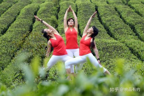 锌硒宝是真有效吗(锌硒宝的成分)-硒宝网