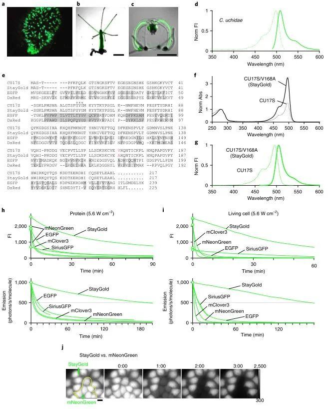 复合蛋白锌硒宝片(蛋白锌硒宝片有什么功效)-硒宝网