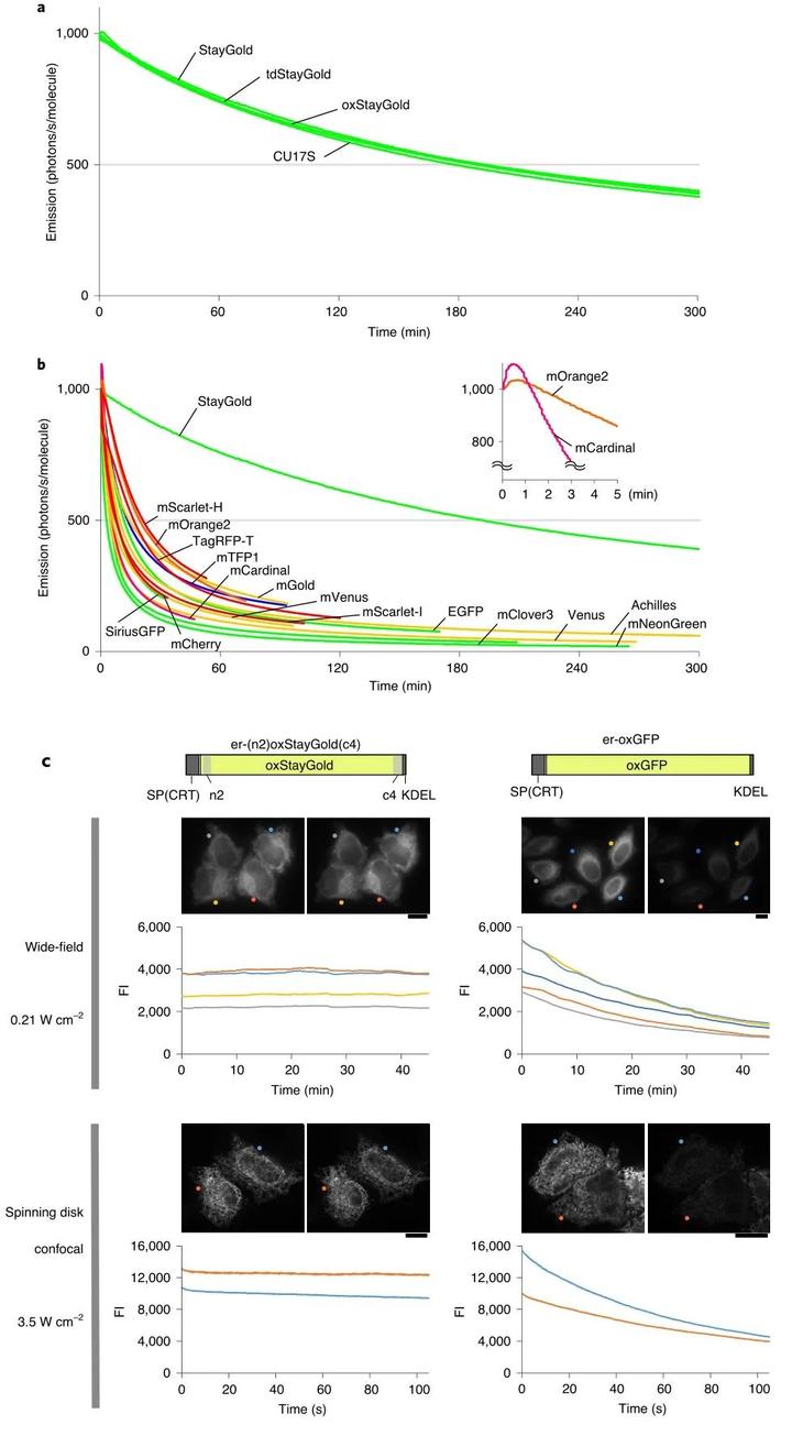 复合蛋白锌硒宝片(蛋白锌硒宝片有什么功效)-硒宝网