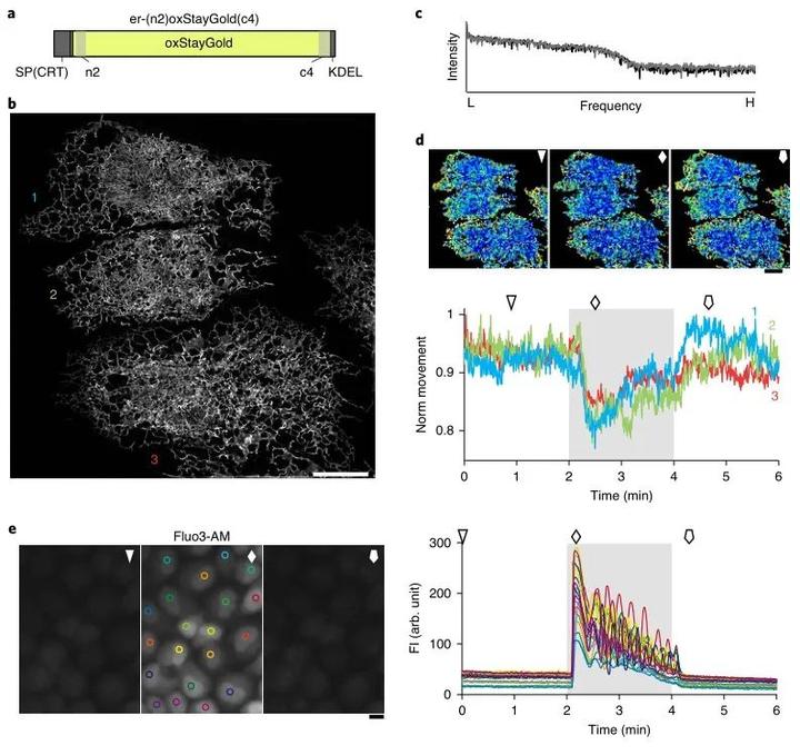 复合蛋白锌硒宝片(蛋白锌硒宝片有什么功效)-硒宝网