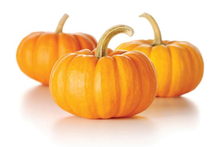 补铁补血食物（补血食物补铁还是补钙）-硒宝网