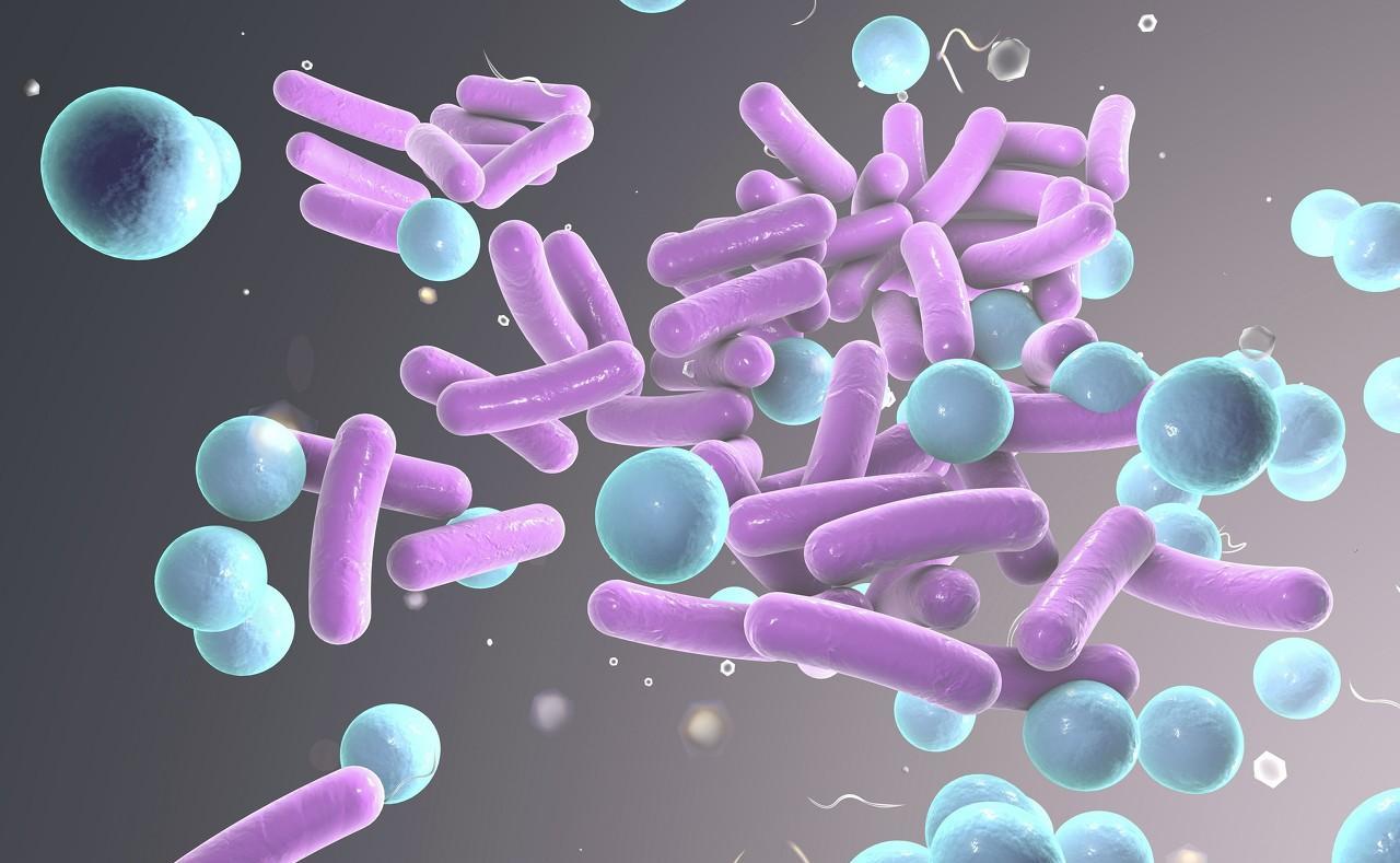 阿奇霉素和锌硒宝（美国阿奇霉素硫酸锌）-硒宝网
