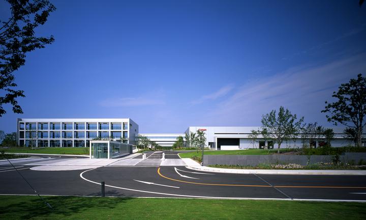 锌硒宝成分氧化锌(锌氧化物是什么)-硒宝网