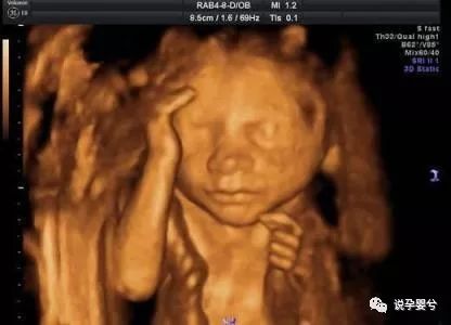 锌硒宝和锌硒宝片（锌硒宝片有用吗）-硒宝网