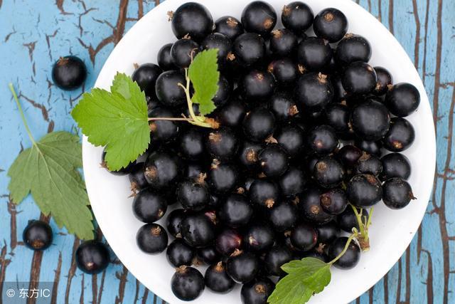 哪些食物是补铁的(补铁食补)-硒宝网