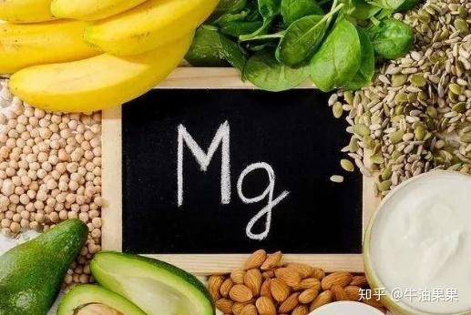 哪些食物是补铁的(补铁食补)-硒宝网