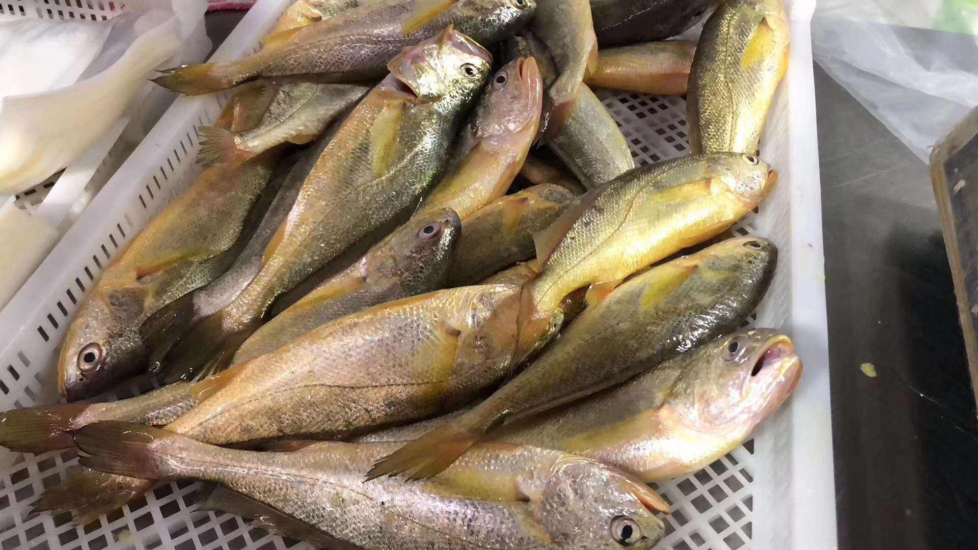 孕妇最补钙的10种食物（孕妇食物补钙种类有哪些）-硒宝网