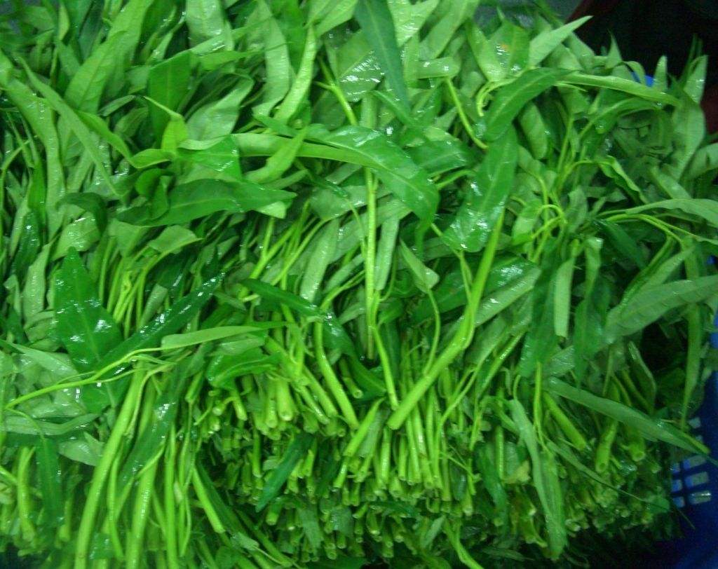 孕妇最补钙的10种食物（孕妇食物补钙种类有哪些）-硒宝网