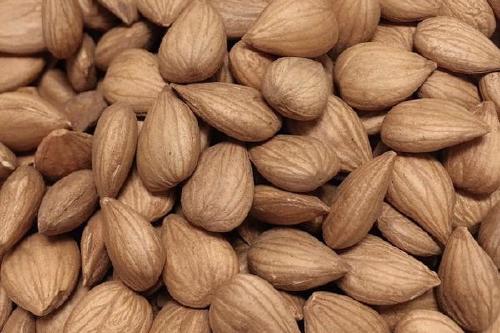 孕妇最补钙的10种食物（孕妇食物补钙种类有哪些）-硒宝网