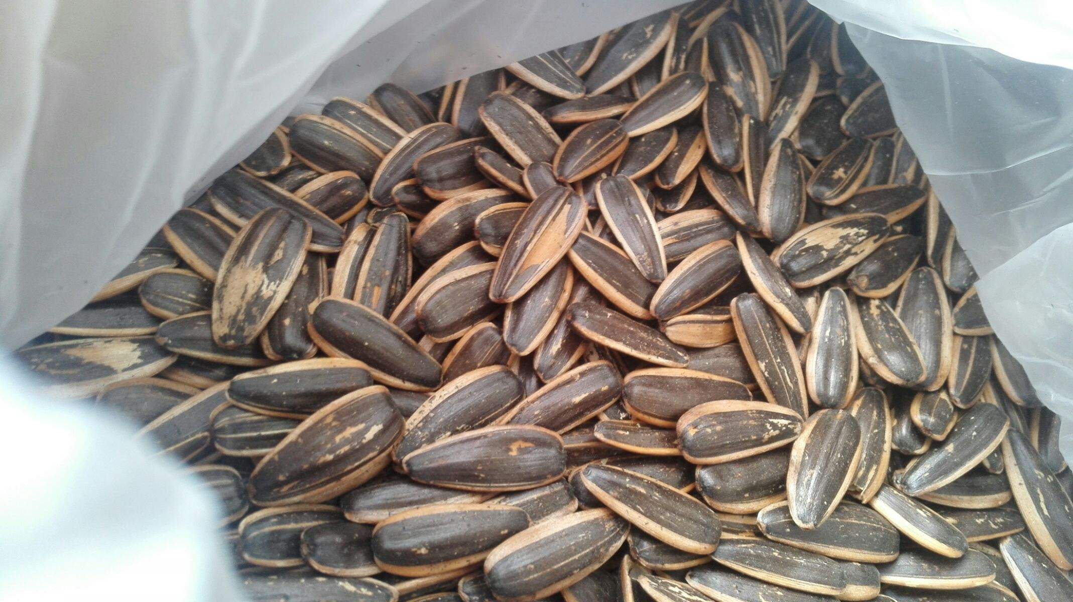 孕妇最补钙的10种食物（孕妇食物补钙种类有哪些）-硒宝网