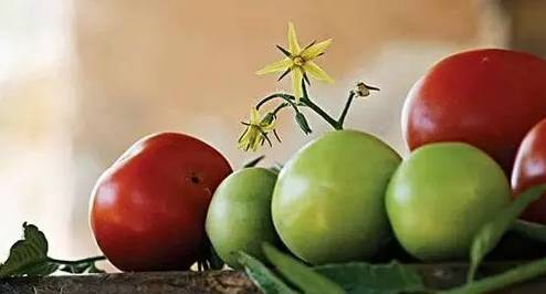 补铁食品有哪些(补充铁的食品)-硒宝网