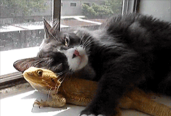 晒太阳能补钙吗（晒太阳可以补钙这会科学吗）-硒宝网