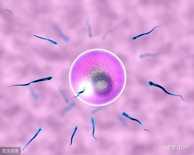 新稀宝——锌硒宝(新稀宝牌锌硒宝片儿童用量)-硒宝网