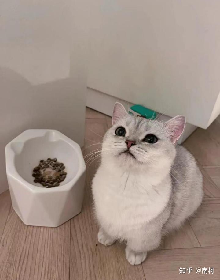 锌硒宝益生菌测评（益生菌锌的作用及功能）-硒宝网