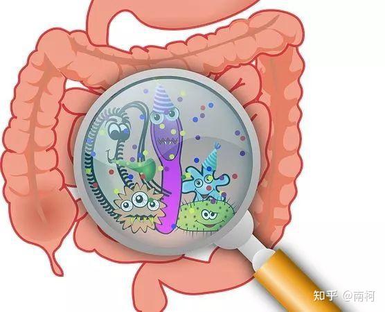 锌硒宝益生菌测评（益生菌锌的作用及功能）-硒宝网